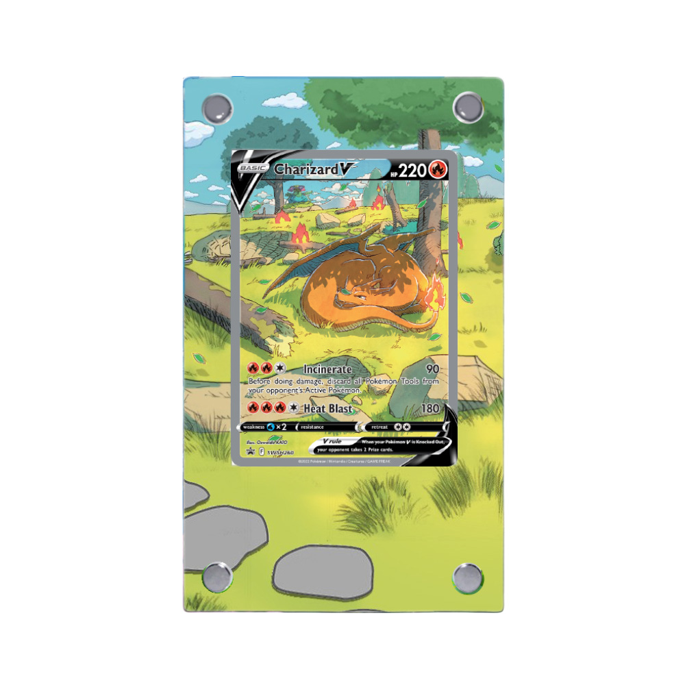 Umbreon Charizard Raikou Pokem – обзор и цена Model Kit Umbreon